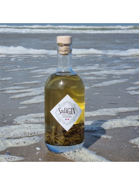 SaliGin , gin aux salicornes de la baie de somme